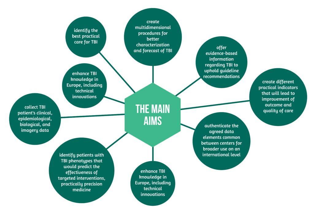 center-tbi-the-making-of-the-main-tbi-registry-in-europe-part-i