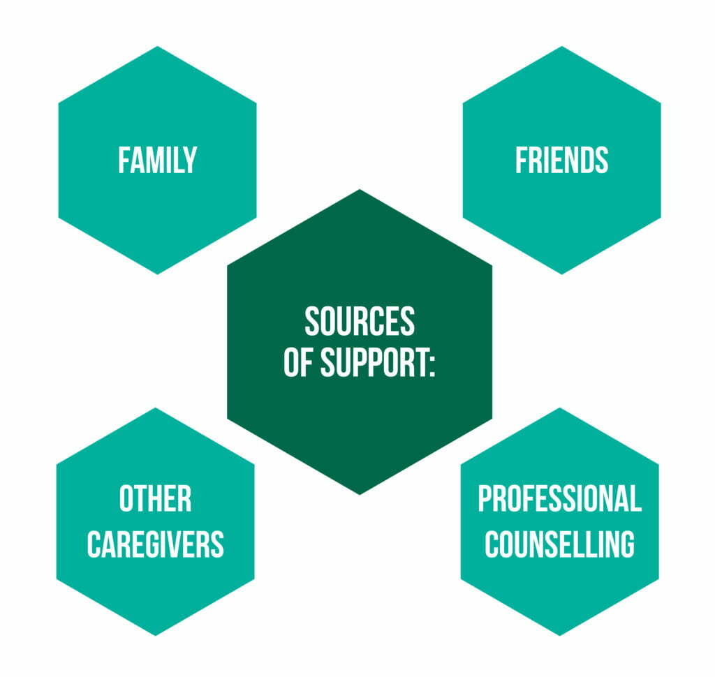 Fig 4 Sources of support