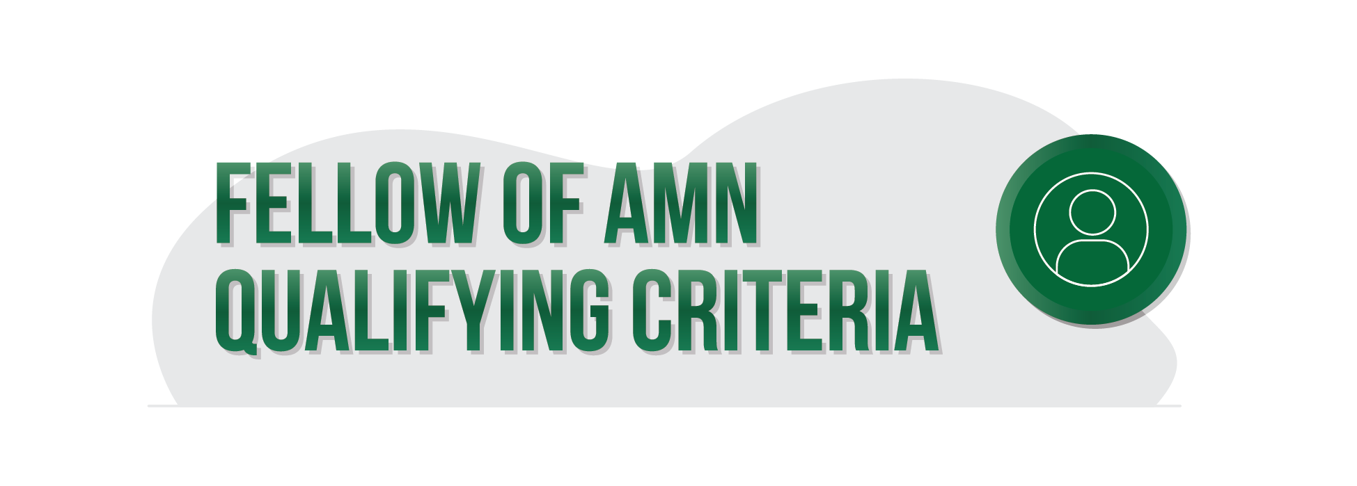 AMN Focus Groups 10 2