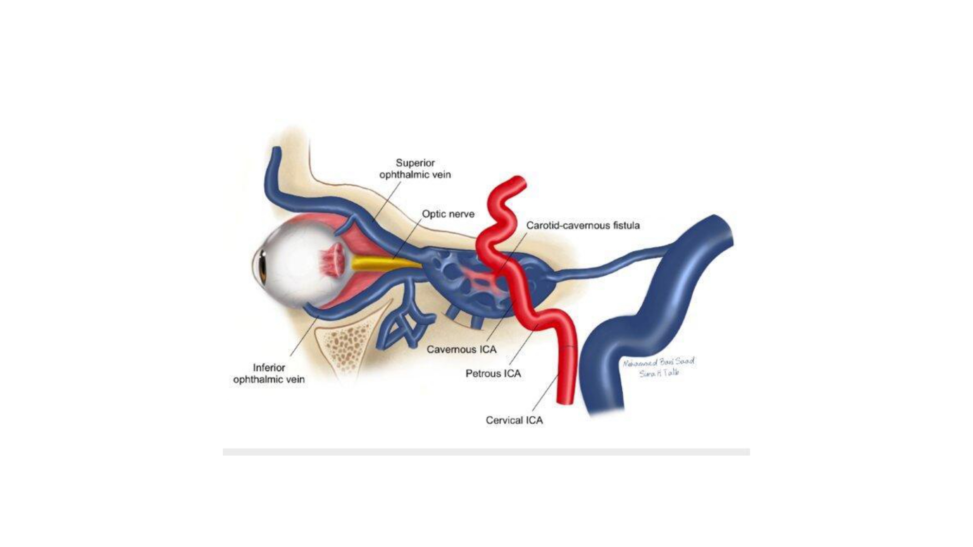 Nguyen Ngoc Cuong.pptx_page-0007