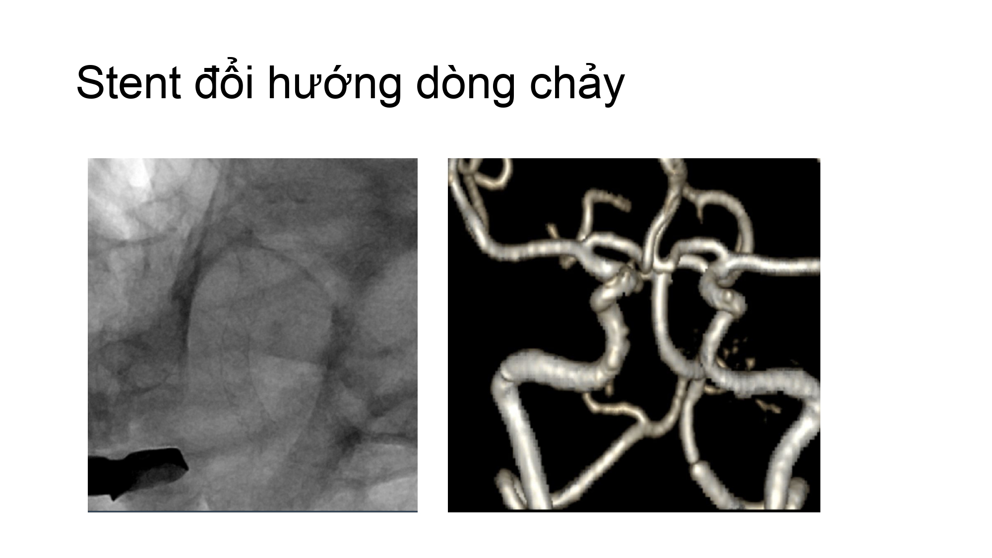 Nguyen Ngoc Cuong.pptx_page-0020