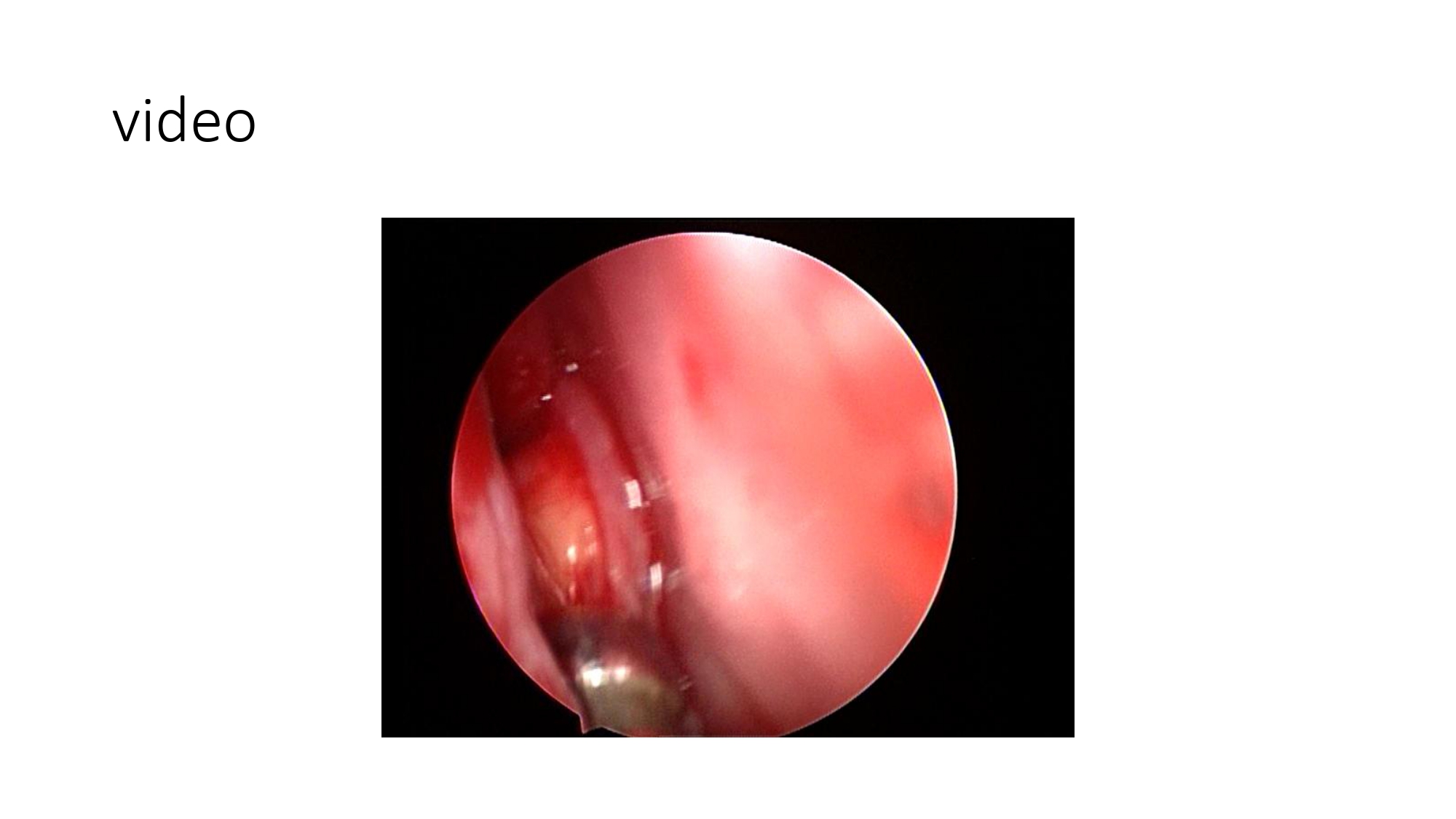 Nguyen Thanh Xuan_page-0007