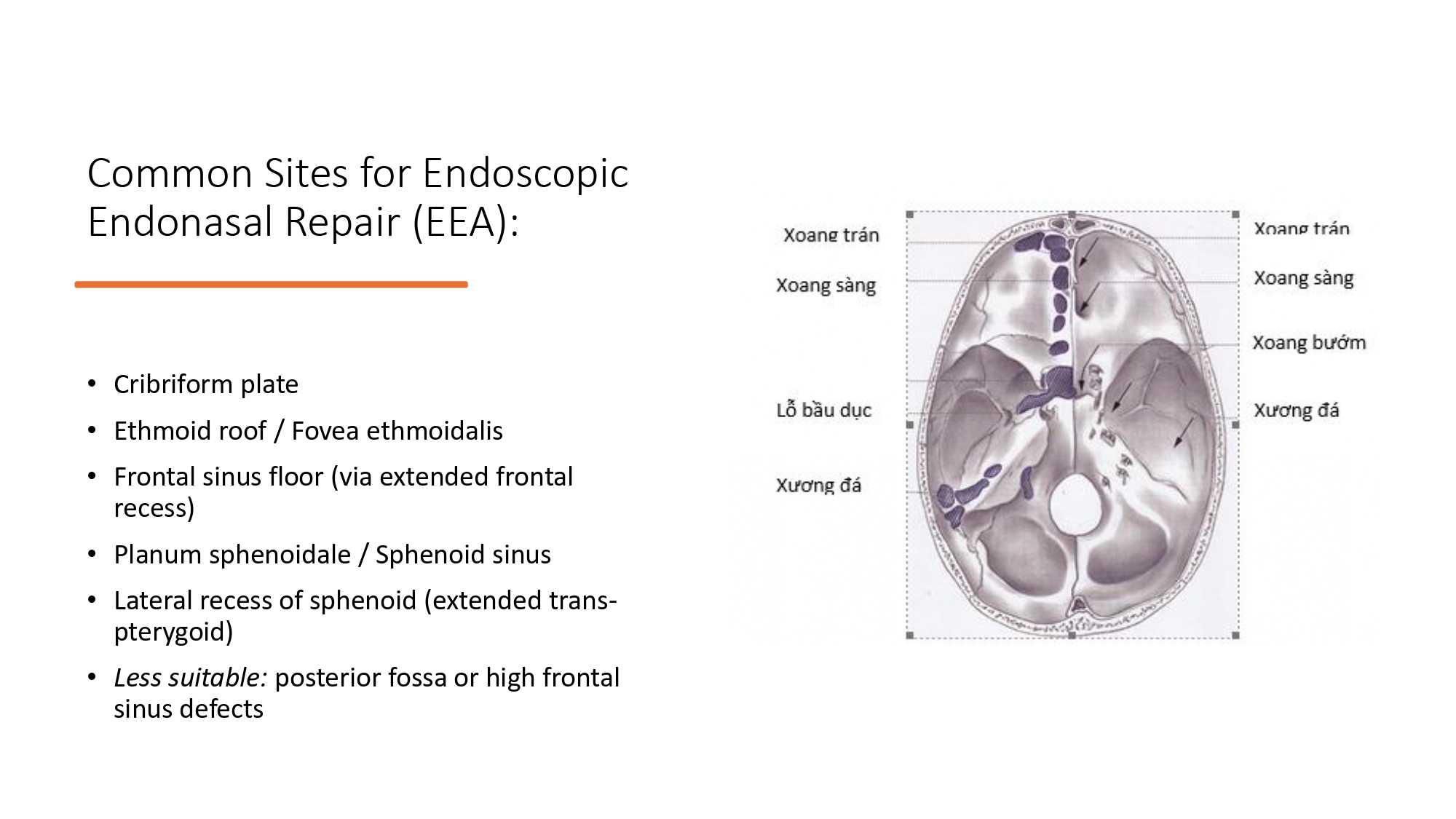 Nguyen Thanh Xuan_page-0014