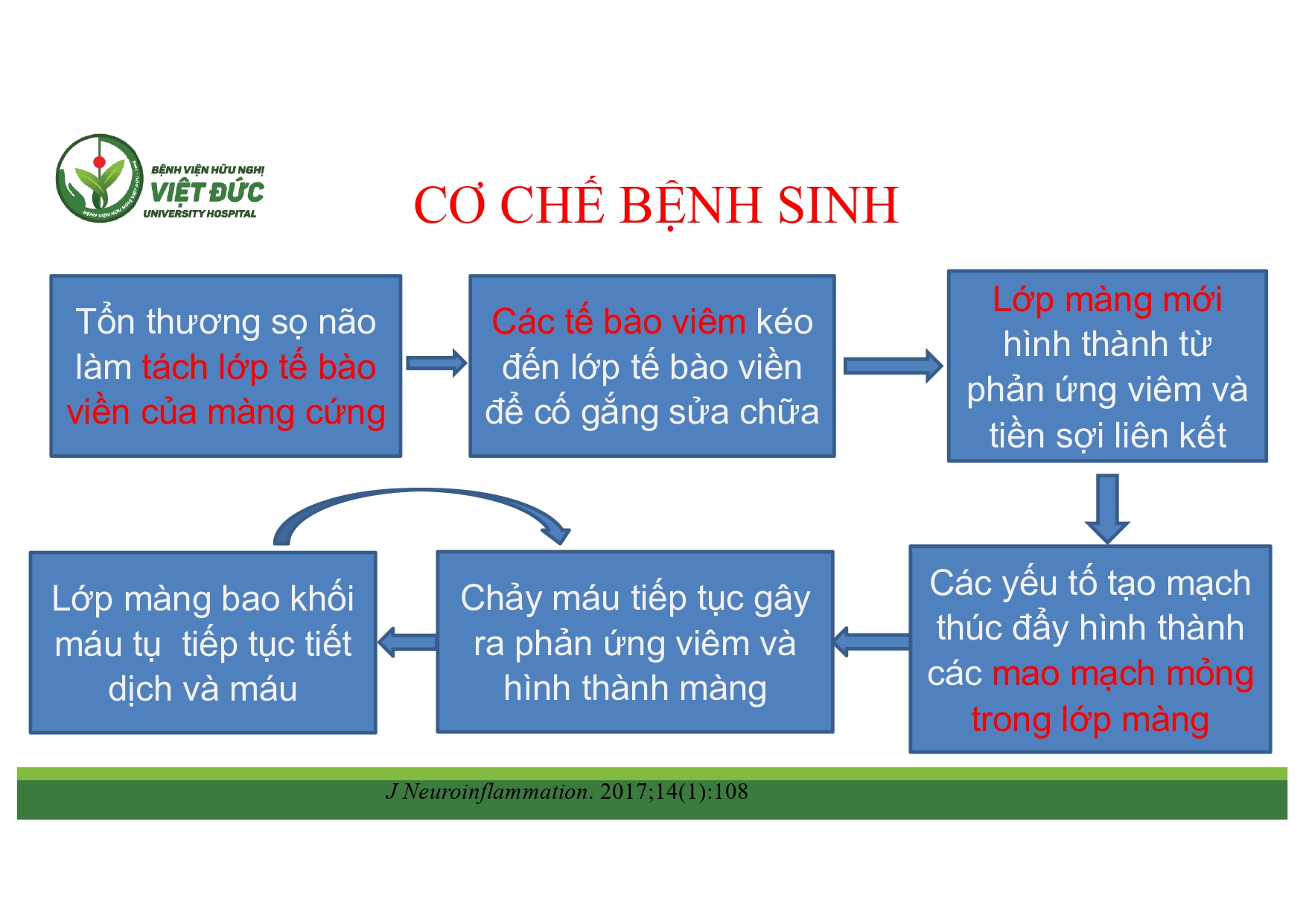 CSDH 4.11.2025 (Lê Thanh Dũng)_page-0006