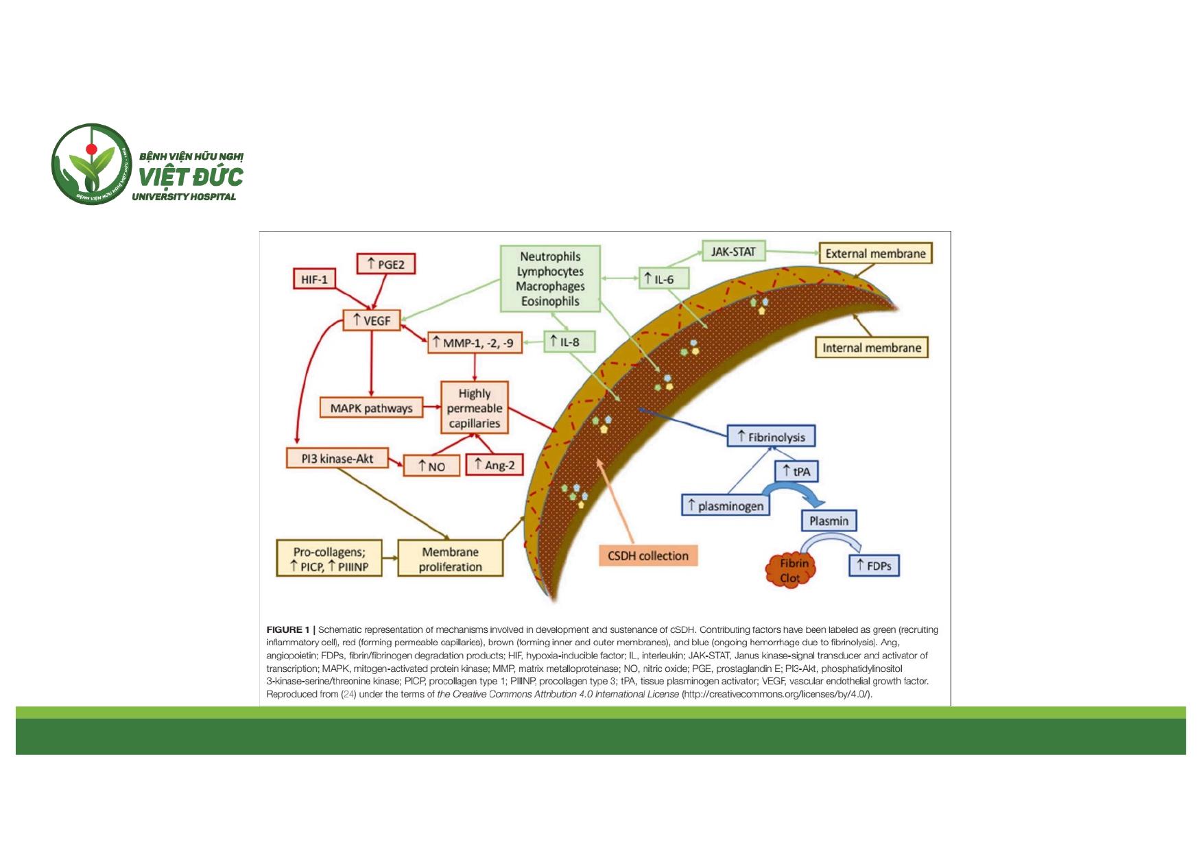 CSDH 4.11.2025 (Lê Thanh Dũng)_page-0007