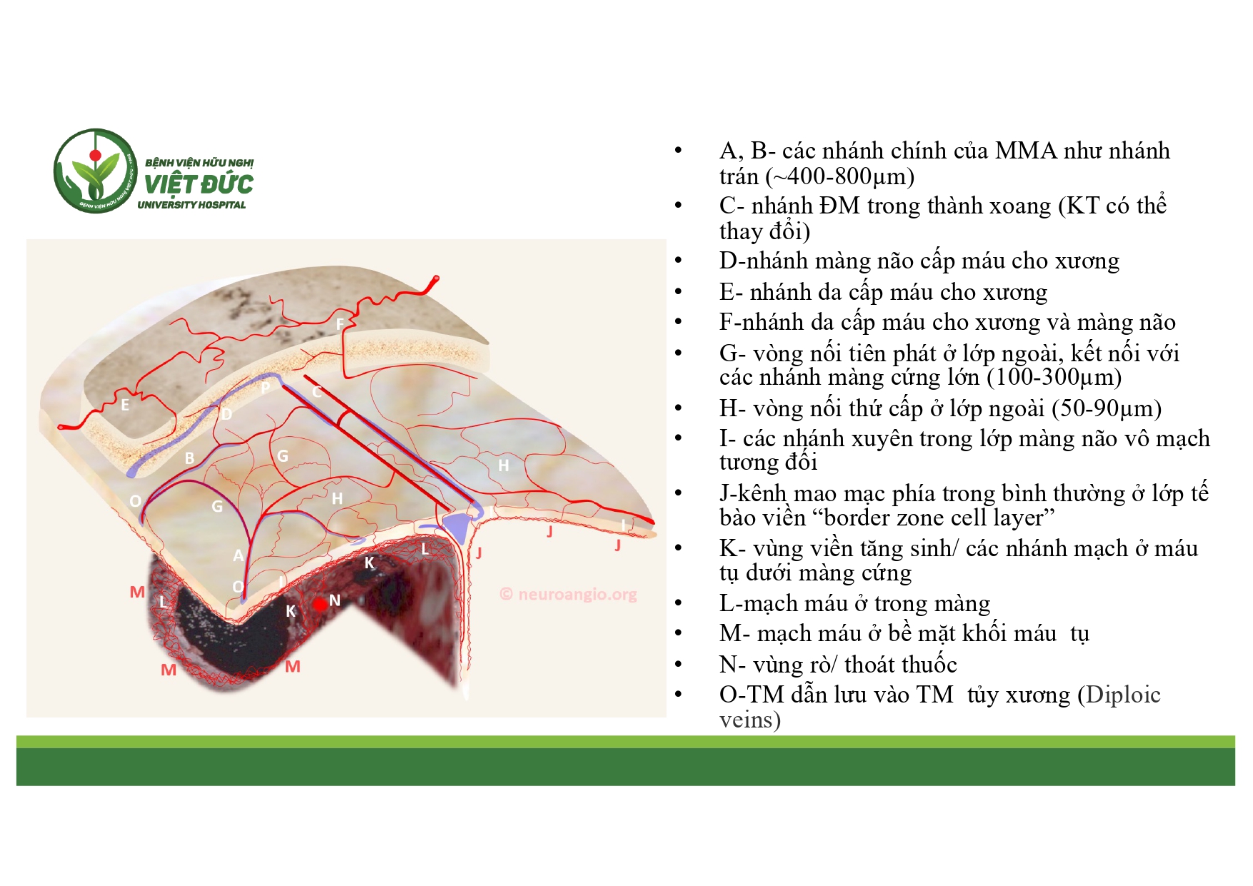 CSDH 4.11.2025 (Lê Thanh Dũng)_page-0008