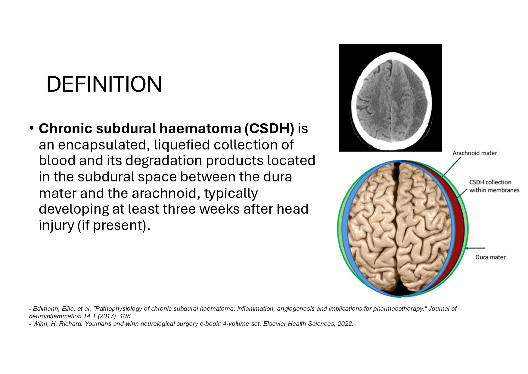 PGS Ha_ (Duong Dai Ha)_page-0002