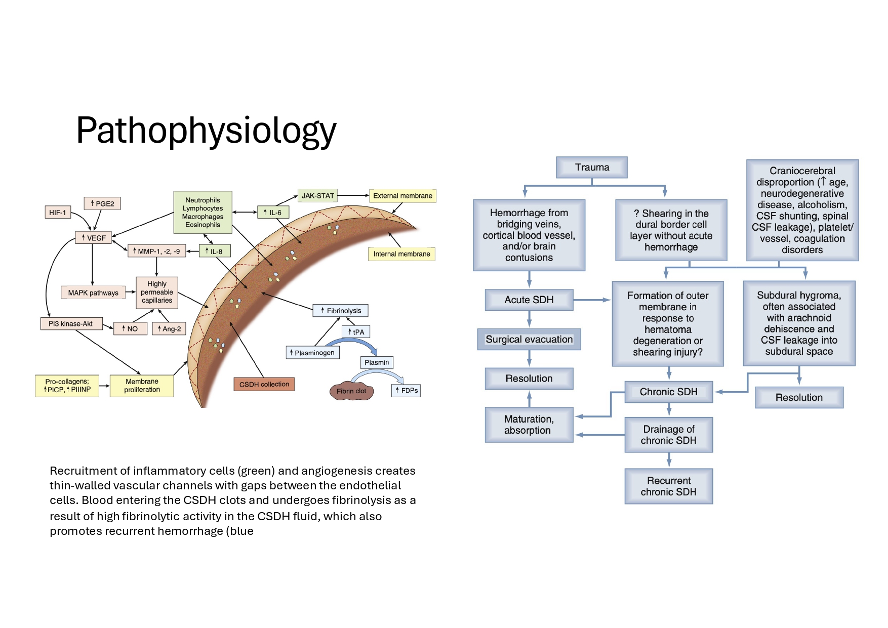 PGS Ha_ (Duong Dai Ha)_page-0006