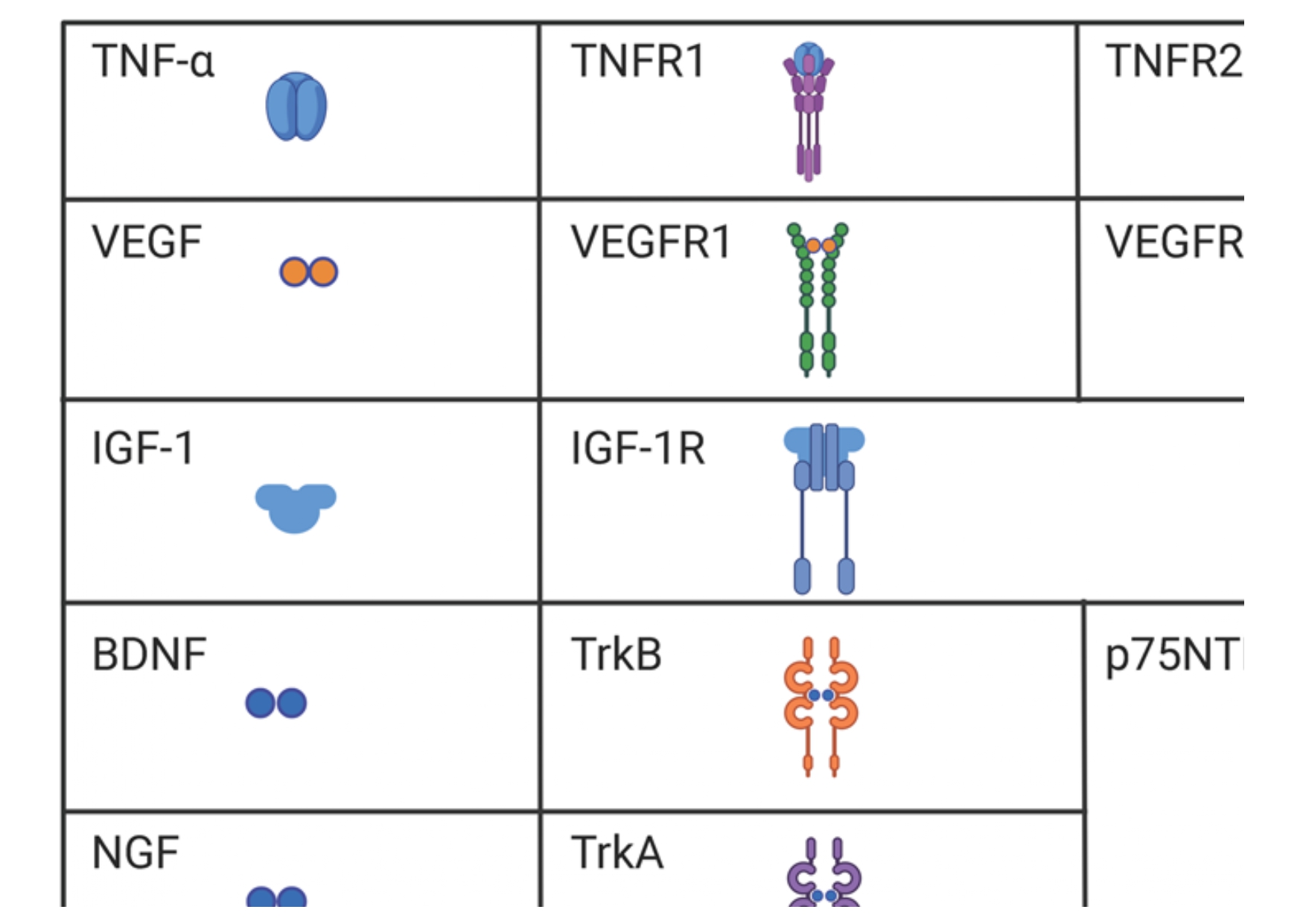 Winkler Current principles in TBI Kurzversion 4.11.25. Hanoi_page-0033