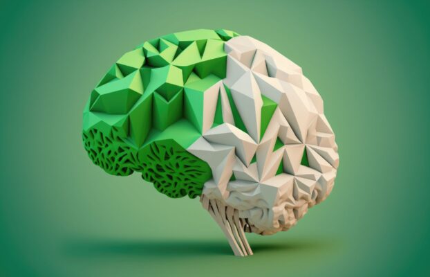 The IBQ-SIARSL PILOT 3 program